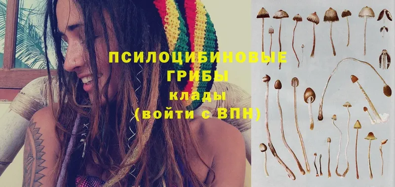 Галлюциногенные грибы Cubensis  даркнет сайт  блэк спрут ТОР  Кедровый 